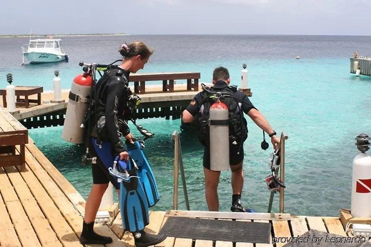 Buddy Dive Resort Κράλεντικ 3*,  Μποναίρ, Άγιος Ευστάθιος και Σάμπα