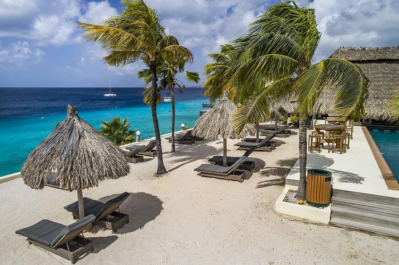 Buddy Dive Resort Κράλεντικ 3*,  Μποναίρ, Άγιος Ευστάθιος και Σάμπα