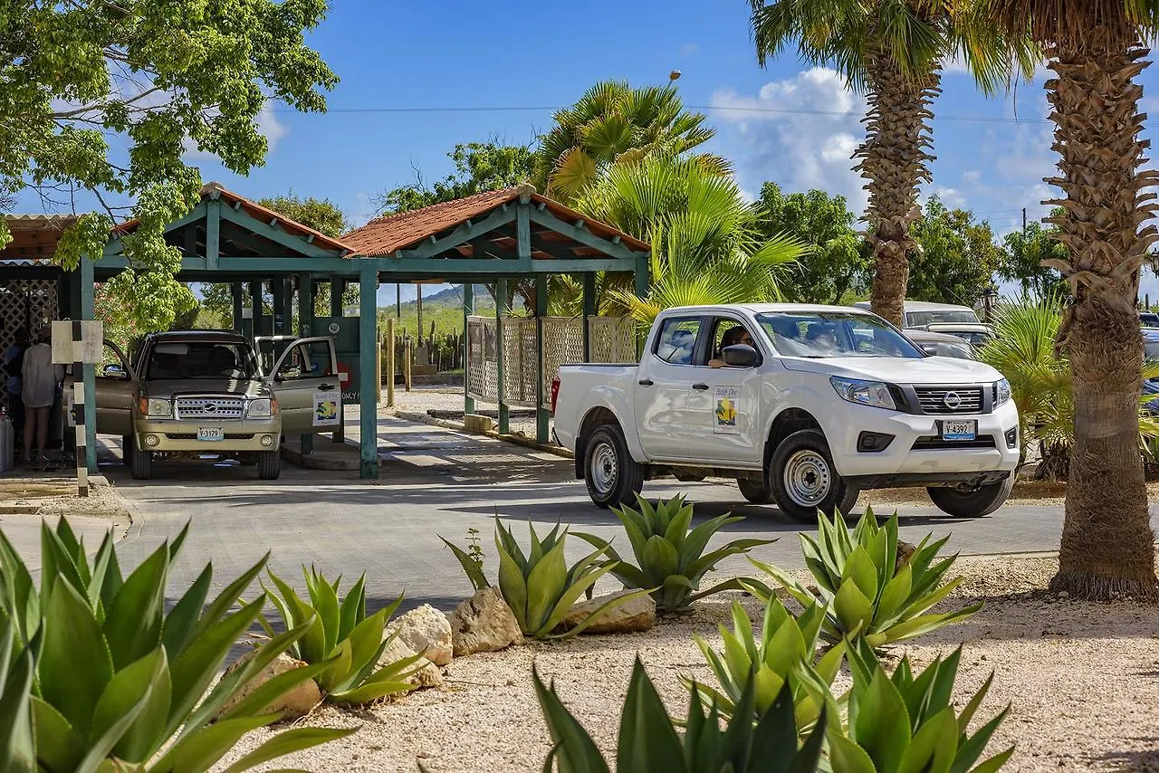 Buddy Dive Resort Κράλεντικ Μποναίρ, Άγιος Ευστάθιος και Σάμπα