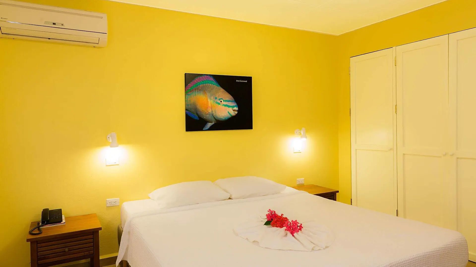 Buddy Dive Resort Κράλεντικ Μποναίρ, Άγιος Ευστάθιος και Σάμπα