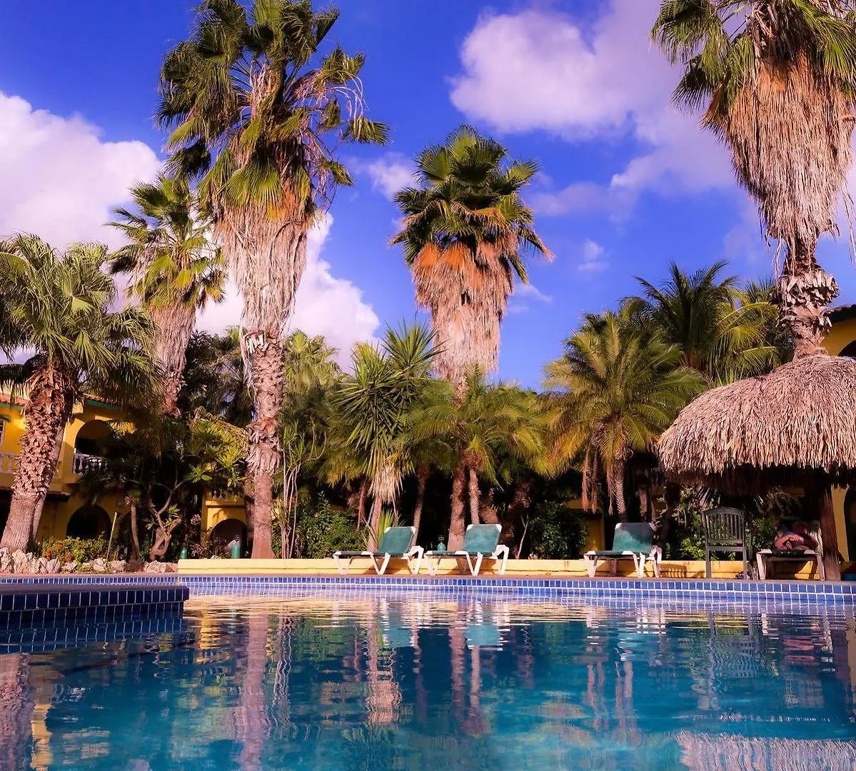 Buddy Dive Resort Κράλεντικ Μποναίρ, Άγιος Ευστάθιος και Σάμπα